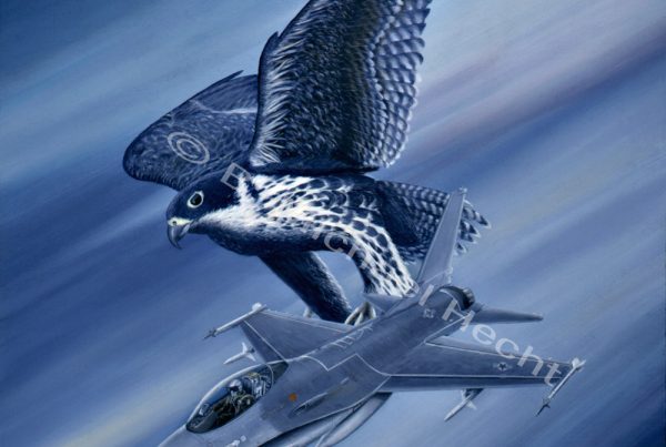 Falcon Fury II, by B. Michael Hecht