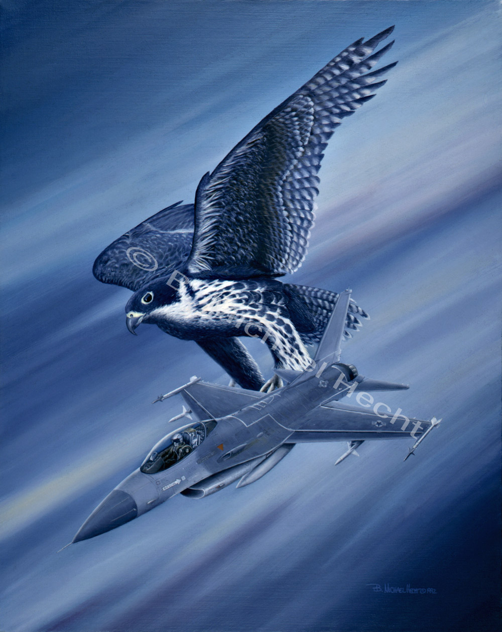 Falcon Fury II, by B. Michael Hecht